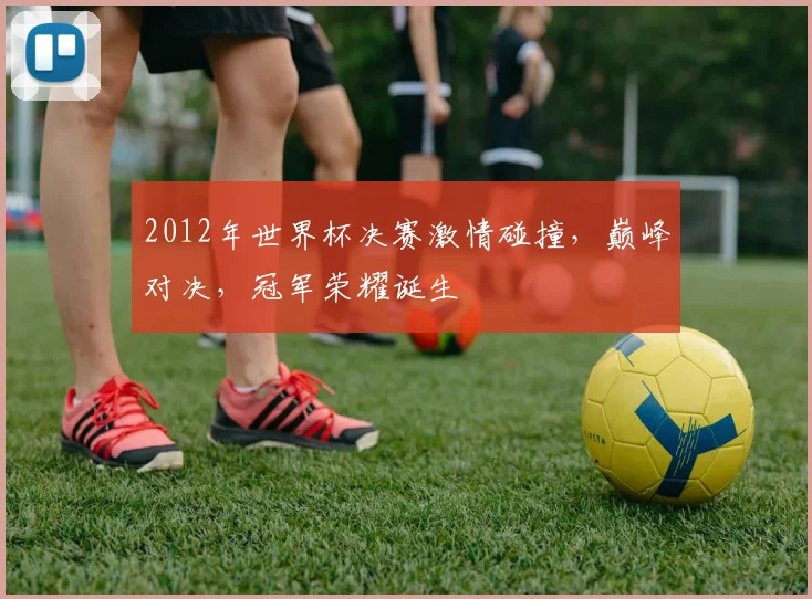 2012年世界杯决赛激情碰撞，巅峰对决，冠军荣耀诞生