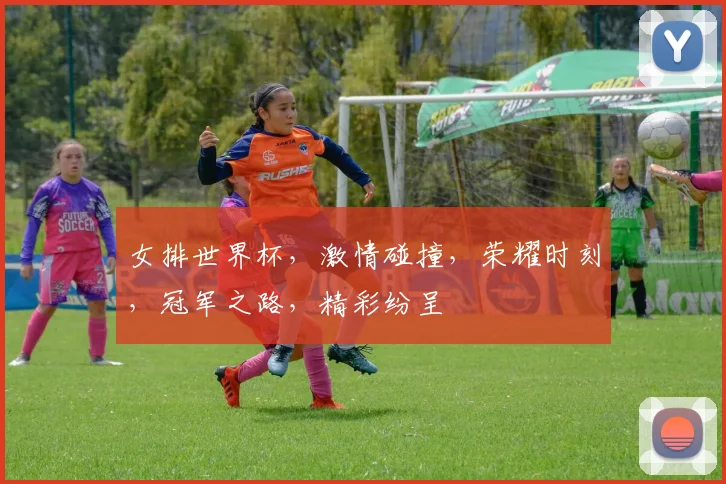 女排世界杯，激情碰撞，荣耀时刻，冠军之路，精彩纷呈