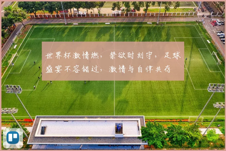 世界杯激情燃，禁欲时刻守，足球盛宴不容错过，激情与自律共存
