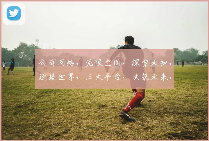 公海网络，无限空间，探索未知，连接世界，三大平台，共筑未来，创新之旅。