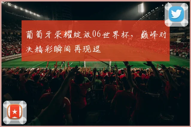 葡萄牙荣耀绽放06世界杯，巅峰对决精彩瞬间再现逗