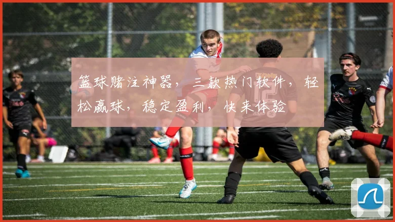 篮球赌注神器，三款热门软件，轻松赢球，稳定盈利，快来体验
